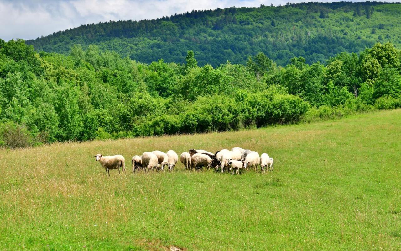 Natura Hause Rakovica Ngoại thất bức ảnh